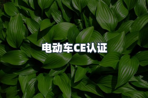 CE认证咨询服务